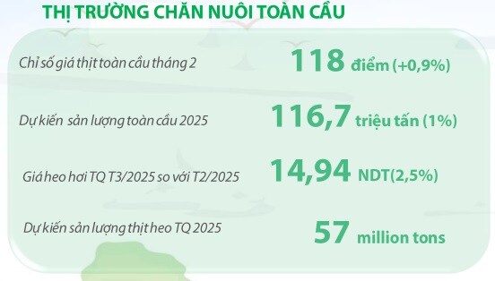 Phó tổng BAF: Doanh thu tháng 4 cao kỷ lục, ăn heo BAF sẽ không lo sợ như lòng xe điếu