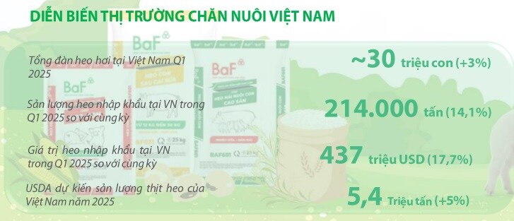 Phó tổng BAF: Doanh thu tháng 4 cao kỷ lục, ăn heo BAF sẽ không lo sợ như lòng xe điếu
