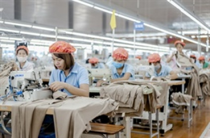 MSH phát hành 37.5 triệu cp thưởng, giữ nguyên kế hoạch lãi kỷ lục bất chấp áp lực thuế Mỹ