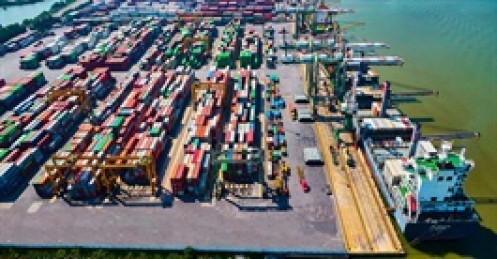 Viconship rót hơn 690 tỷ đầu tư chứng khoán, cổ phiếu tăng hơn 70% chỉ trong 1 tháng