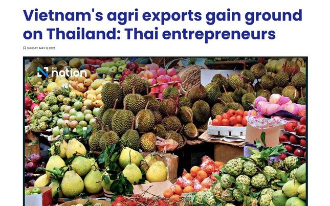 Choáng ngợp về nông sản Việt Nam ảnh 1