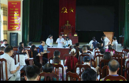 Mỹ Đức đấu thành công 22 lô đất, thu về gần 51 tỷ đồng