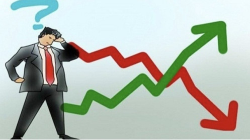 Nhiều cổ phiếu đã có mức giá hợp lý với yếu tố cơ bản, thị trường cần thời gian tạo vùng giá cân bằng