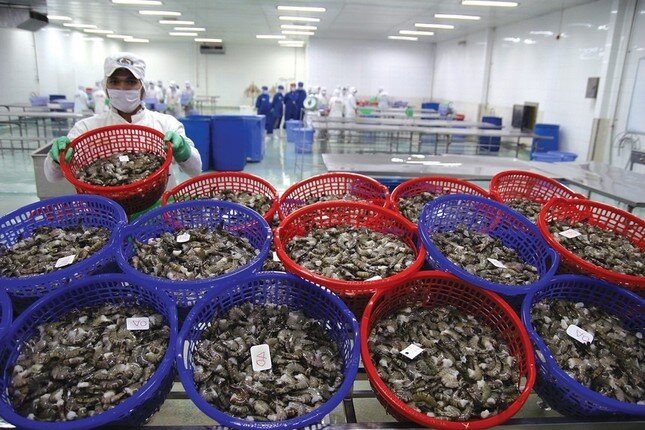 Trung Quốc bất ngờ tăng mạnh nhập khẩu ốc từ Việt Nam