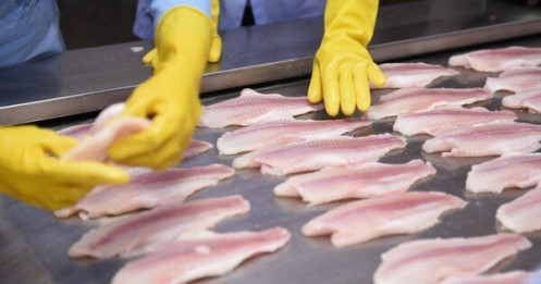 Việt Nam rộng cửa xuất khẩu cá tra sang Brazil