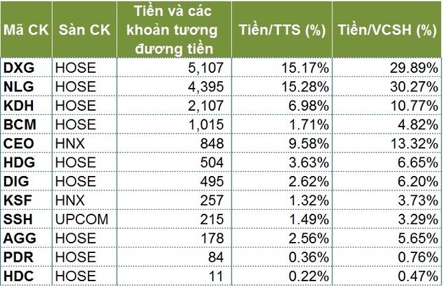 ‘Ví tiền’ của nhiều ông lớn bất động sản: Dồn tiền cho sóng hồi phục