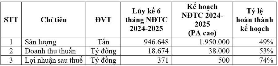 Hoa Sen Group vượt thách thức thương mại, giữ vững đà tăng trưởng trong 7 tháng đầu niên độ 2024–2025