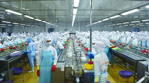 EU và Anh dự thảo điều chỉnh mức dư lượng tối đa (MRLs) ảnh hưởng đến thủy sản và nông sản Việt Nam