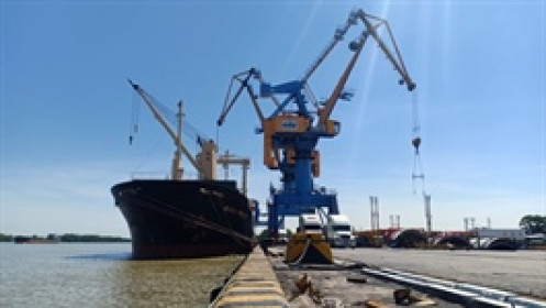 Lãnh đạo cấp cao DXP đồng loạt rút lui