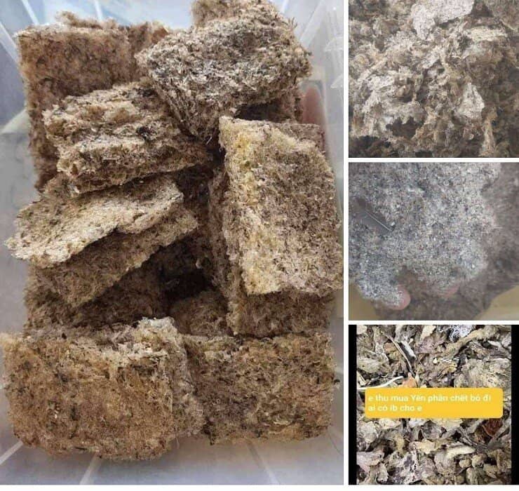 Tiết lộ bất ngờ về yến sào 13.000 đồng/hũ đang bị đặt nghi vấn chất lượng