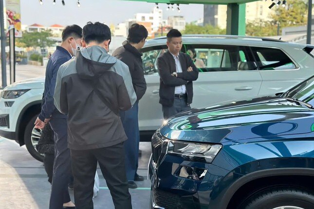 Doanh số ô tô tại Việt Nam suy giảm ở nhiều phân khúc ảnh 1