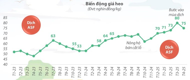 Bữa đại tiệc của ngành chăn nuôi heo quý 1