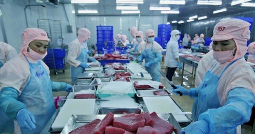 'Cao tốc' cho kinh tế tư nhân: Không hình sự hóa quan hệ kinh tế