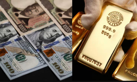 Dự trữ ngoại hối bằng đô la trên toàn cầu rơi xuống mức thấp kỷ lục