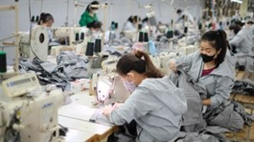 Một doanh nghiệp may ưu tiên dùng vốn trả lương, giảm hơn 900 nhân sự sau 18 năm