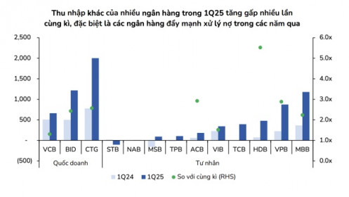 Lợi nhuận ngân hàng năm 2025: Trông chờ vào thu hồi nợ xấu bất động sản?