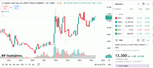 Con gái Chủ tịch HAG không mua được 4 triệu cổ phiếu như đã đăng ký