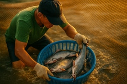 Thủy sản quý 1/2025: Cá tra khởi sắc, tôm phân hóa