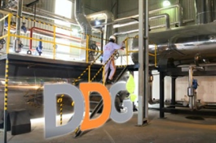 DDG nói gì về ý kiến kiểm toán ngoại trừ năm 2024?