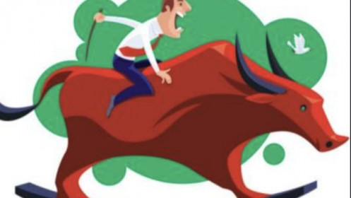 Chuyên gia: Thị trường con bò có thể đưa VN-Index lên 2.000 điểm,  nhà đầu tư nên giải ngân 100% danh mục