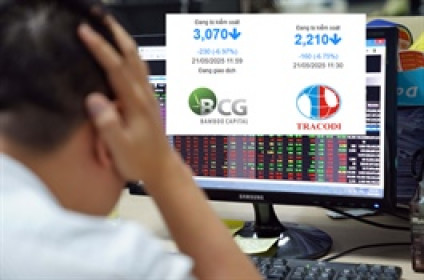 Bộ đôi BCG và TCD vào diện hạn chế giao dịch, cổ phiếu "nằm sàn"