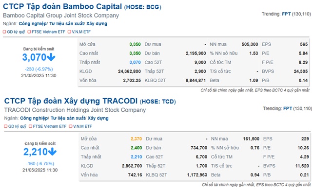 Bộ đôi BCG và TCD vào diện hạn chế giao dịch, cổ phiếu "nằm sàn"