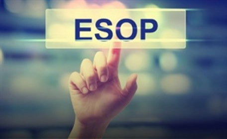 Loạt công ty chứng khoán sắp phát hành ESOP, số lượng từ hàng triệu đến hàng chục triệu cổ phiếu