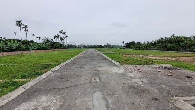 Giá đất nền tăng do yếu tố đầu cơ từ thông tin sáp nhập?