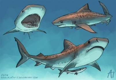 Theo dấu dòng tiền cá mập 22/05: FPT bị khối ngoại bán ròng hơn 130 tỷ, MWG trái chiều hút tiền lớn