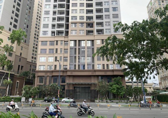 Hơn 71.000 nhà đất ở TPHCM được gỡ vướng để cấp sổ hồng ảnh 1