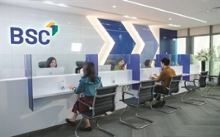 Chứng khoán BIDV sắp trả cổ tức bằng 22.3 triệu cp, tăng vốn lên gần 2,500 tỷ đồng