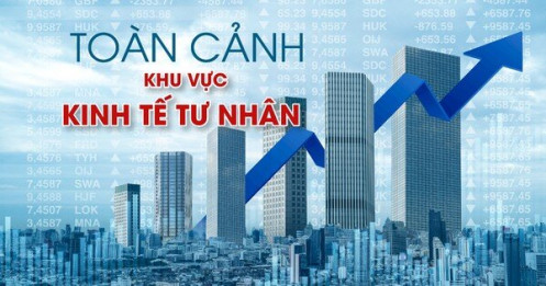 Toàn cảnh khu vực kinh tế tư nhân