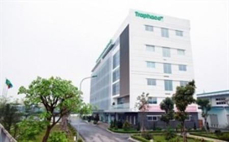 Traphaco sắp chi gần 83 tỷ đồng chia nốt cổ tức 2024, thành lập công ty mới mảng logistics