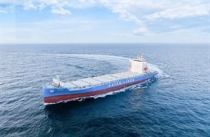 Nhóm Viconship tiếp tục nâng sở hữu tại Hải An lên 13.2%