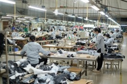 TCM lãi gần 110 tỷ sau 4 tháng, đã nhận gần 80% đơn hàng quý 3