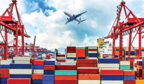 Vinafreight sắp chi gần 48 tỷ trả cổ tức, Transimex nhận phần lớn