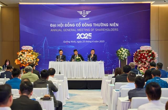 Nhóm Viconship tiếp tục nâng sở hữu tại Hải An lên 13.2%