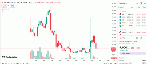 Thép VICASA - VNSTEEL bị phạt 335 triệu đồng do vi phạm môi trường, buộc di dời khỏi khu công nghiệp Biên Hòa 1