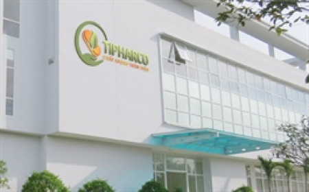 DTG sắp trả cổ tức bằng 1.25 triệu cp trong quý 2