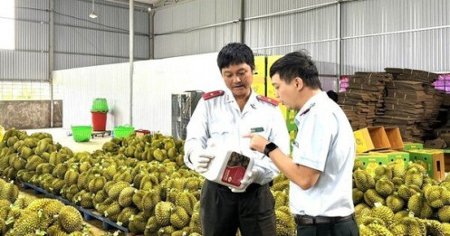 EU sắp thanh tra sầu riêng Việt Nam