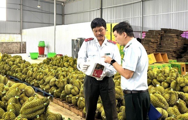 EU sắp thanh tra sầu riêng Việt Nam
