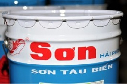 HPP chia cổ tức còn lại 2024 tỷ lệ 20%