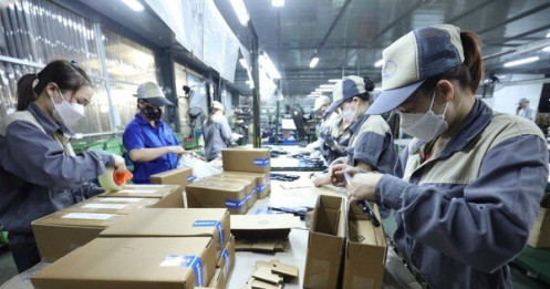 Nói thủ tục khó dễ, nhưng hỏi thật: Doanh nghiệp Việt thực sự đã 'chín'?