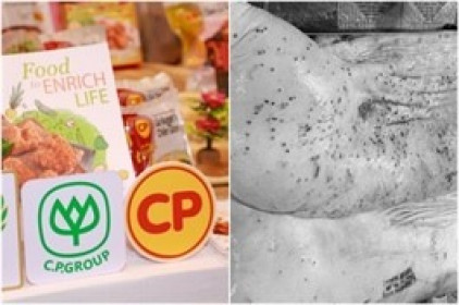 Bị tố bán heo, gà mắc bệnh, C.P Group cam kết mọi hoạt động Công ty vẫn đang diễn ra bình thường