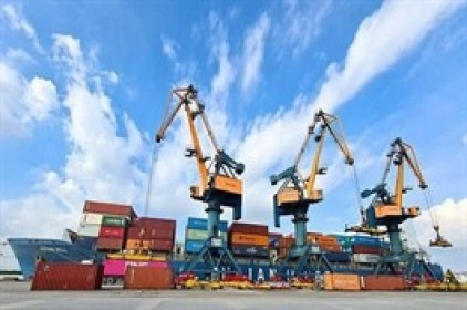 Nhóm cổ đông VSC tiếp tục mua vào hơn 2.2 triệu cp HAH