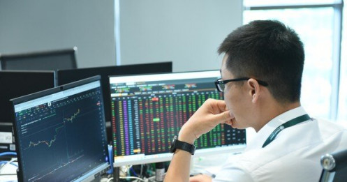 Chứng khoán tuột đỉnh, cổ phiếu nằm sàn la liệt