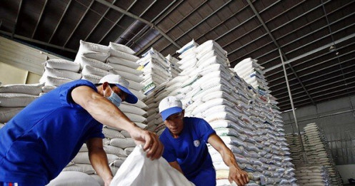 Đề xuất quy định kinh doanh xuất khẩu gạo như 'đánh đố'