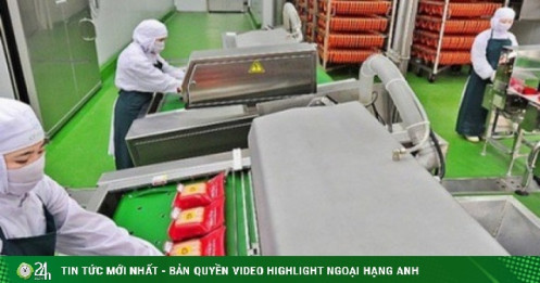 Doanh nghiệp chăn nuôi C.P. kinh doanh ra sao tại Việt Nam?