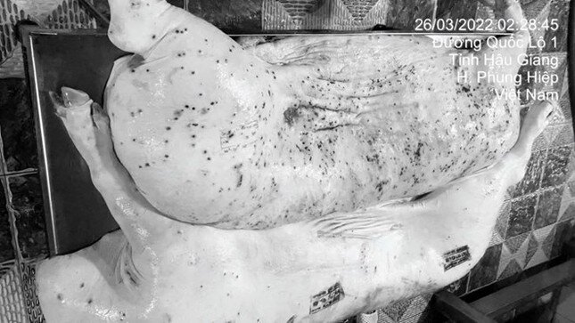 Công ty C.P vừa bị tố bán thịt bẩn đang làm ăn thế nào? ảnh 1