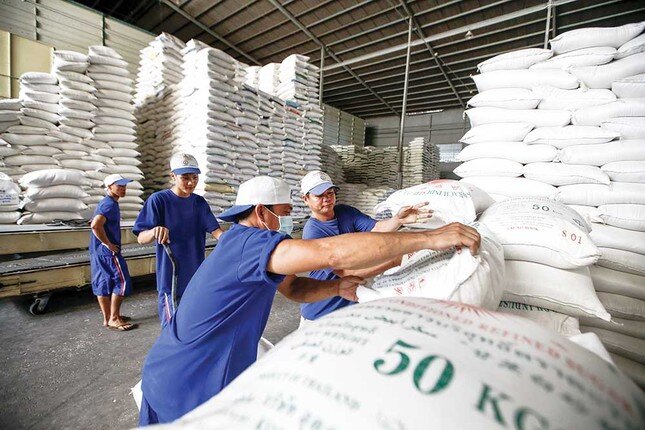 Đề xuất quy định kinh doanh xuất khẩu gạo như 'đánh đố'